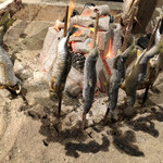 居酒屋 ちょーちょ - 