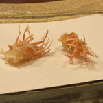 Tempura Wakatake - 