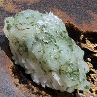 鮨くにみつ - 富山の白海老です。静岡の山の息吹という茶葉で〆ました。トッピングの白い粉は塩です