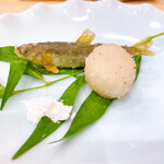 蕎麦割烹  倉田 - 琵琶湖産　鮎、芋団子