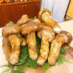 蕎麦割烹  倉田 - 生　松茸