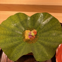 麻布さおとめ - 