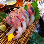 日比野市場鮮魚浜焼きセンター - ミノ海老 680円