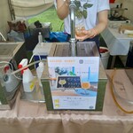 ゴールデンラビットビール - 