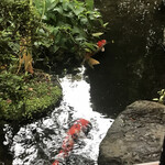 富松うなぎ屋 - 