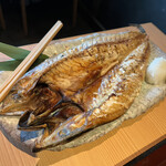 Sushi Tofuro - デカ過ぎる金華鯖‼︎‼︎