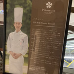 プリムローズ - 