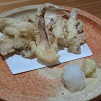 鯖とか烏賊とか真とか - 