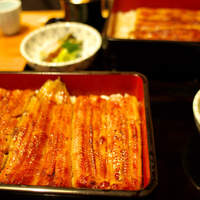 大江戸 南青山店 - りょうがおおいほうのやよいも、ぺろりんす。