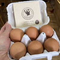 とうきび玉子で〆るラム雑炊　　
