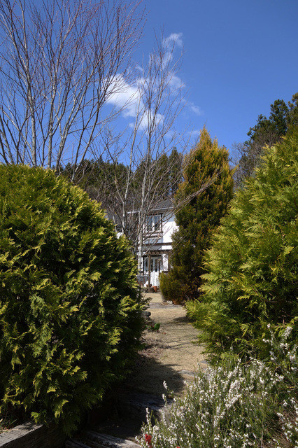 ブルーベル（Blue Bell） - 仙台市泉区その他（カフェ）の写真