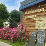 さわやか農園南町 - 綺麗な赤ピンク♡