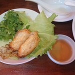 Xinchao - 揚げ春巻き。パクチー、きゅうり、レタスで巻いて食べる