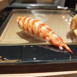 川崎 鮨 よこ田 - 