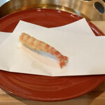 天喜 - さいまき②（車海老の子供）