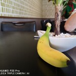 Banana Leaf - 