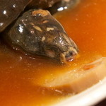 龍口酒家 - スッポンの頭