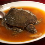 龍口酒家 - 甲魚姿煮（スッポン丸蒸）