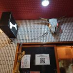 一条流がんこ総本家分家四谷荒木町 - 