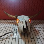 一条流がんこ総本家分家四谷荒木町 - 