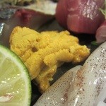 延喜寿し - 雲丹・あおり