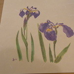 さ々木 - 敷紙の隅には花菖蒲♪