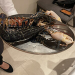 マスドラヴァンド - 