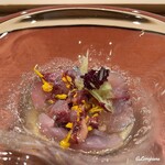 御料理 寺沢 - 釣り鯵と菊花､トレビスに針胡瓜と赤紫蘇の土佐酢ジュレがけ