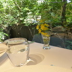 レフェルヴェソンス - 窓から見える緑が良いですね♪