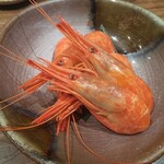 寿司と炉端焼 四季花まる - 北海しまえび(660円)