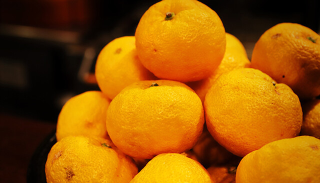 Yuzu Gen Kyoto Satocho Ten