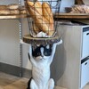 CAT & BAKES 9456