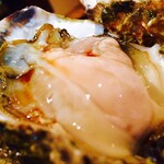 seasonal raw Oyster