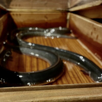 にょろ助 銀座 - 