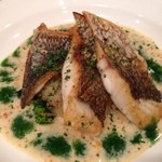 エスカルゴ - 黒鯛を白ワインのソースで　甘みのあるソース　お魚の下にソテーしたタマネギ