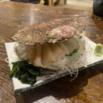 Hakodate Kaisen Izakaya Yanshuu Gyoba Nidaime Shouei Maru - 帆立のお刺身