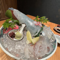 寿司 はせ川 心斎橋本店 -  寿司 はせ川 心斎橋本店 -