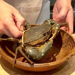 日本料理FUJI - 胴満蟹 浜名湖