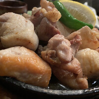 鳥ばか一代 - 