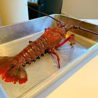 レストラン オオツ - 