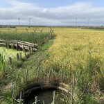 風と手と土 - 近くのビオトープ。広がる田園風景