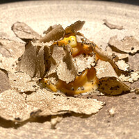 TOSAGE - 