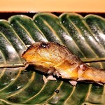 銀座 しのはら - 郡上は骨を抜いてもらった