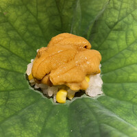 蓮 三四七 - 