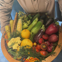 レフェルヴェソンス - 