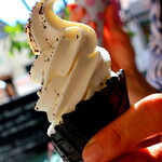 KARUIZAWA COFFEE COMPANY - 白いコーヒーソフトクリーム