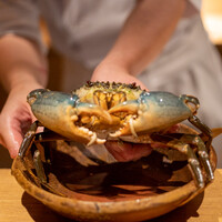 日本料理FUJI - 2022.9 浜名湖産ドウマンガニ