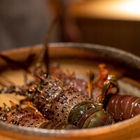 日本料理FUJI - 2022.9 焼津産250gサイズ伊勢海老