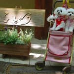 森の中のレストラン こどう - 入り口