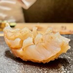 くろ﨑 - 2022.8.  海松貝